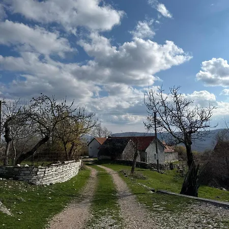 Bodenik